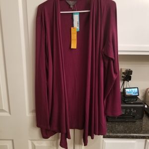 Mix 41 Hawthorne Cardigan Stitch Fix 3X